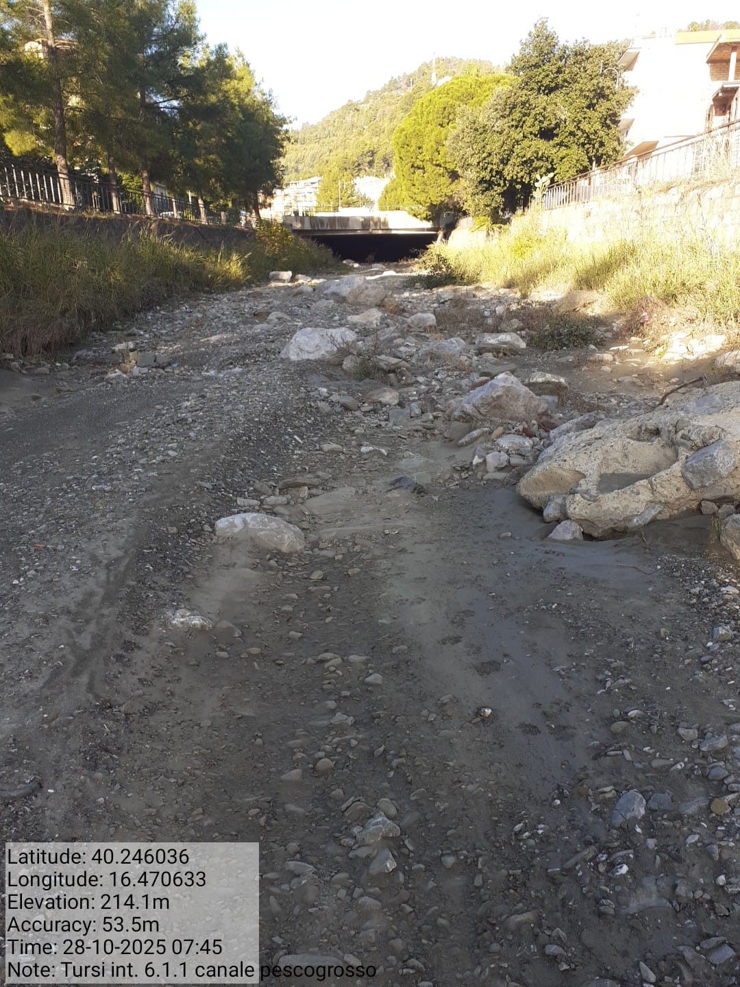 Galleria Fotografica Immagine