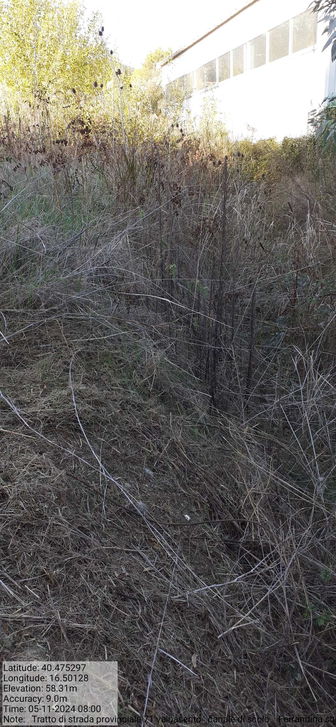 Galleria Fotografica Immagine