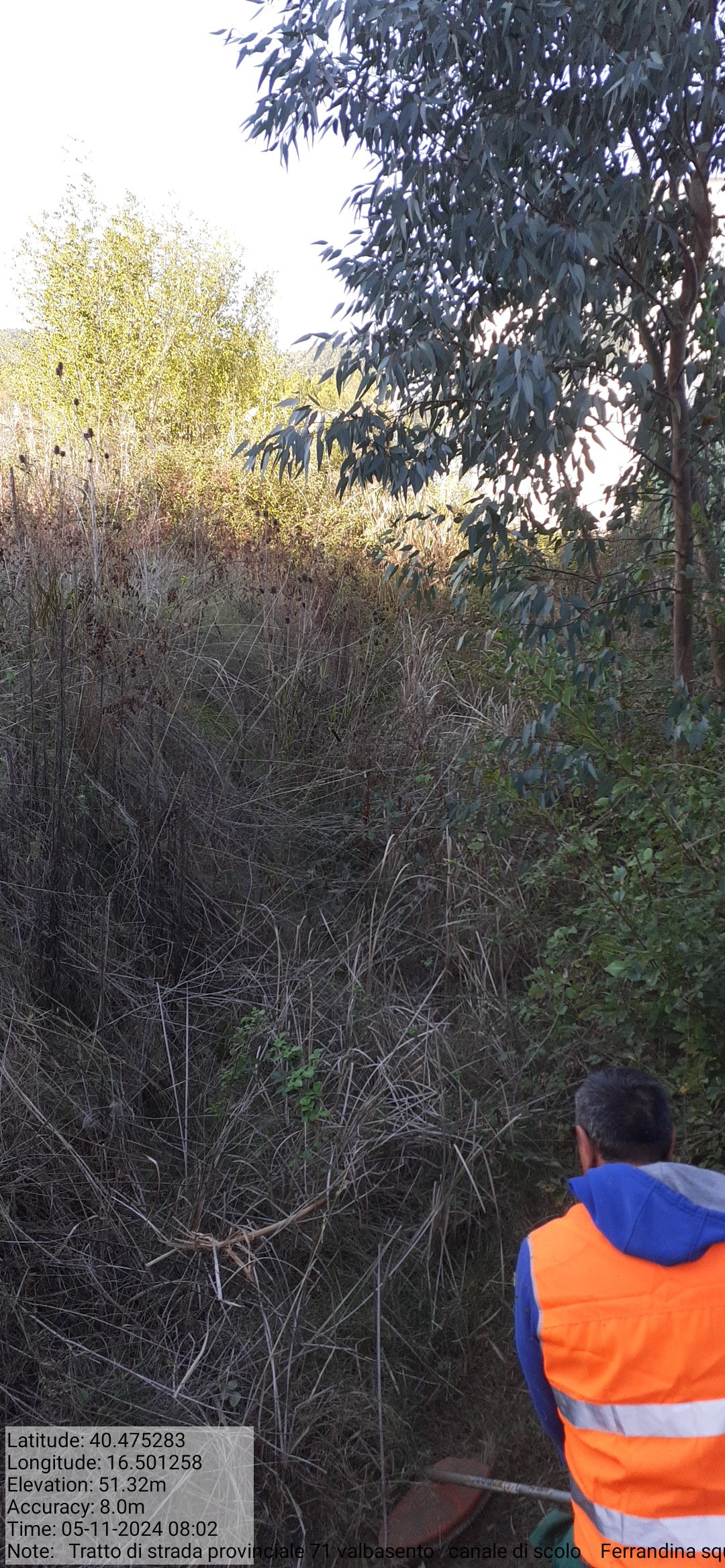 Galleria Fotografica Immagine