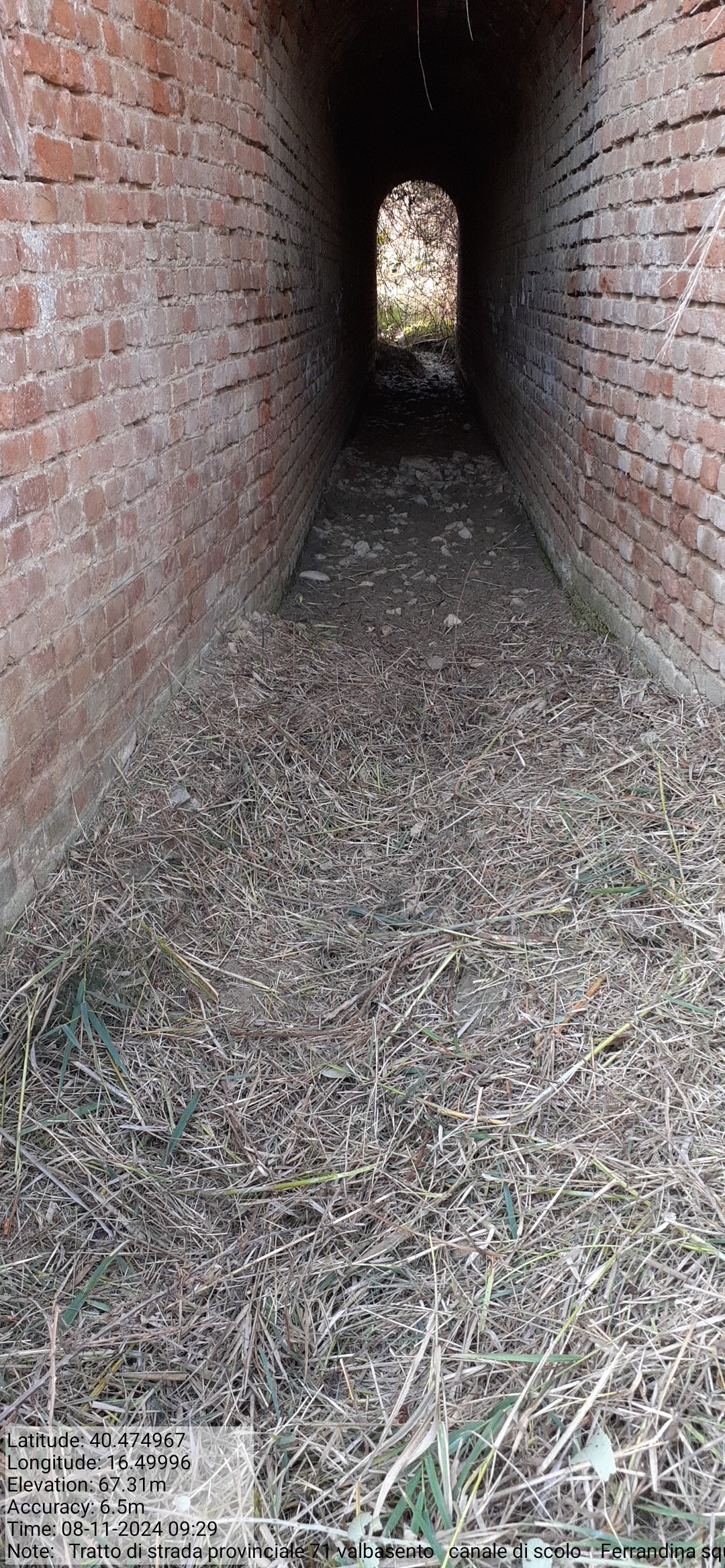 Galleria Fotografica Immagine