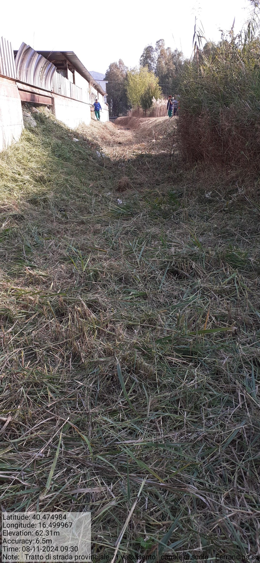 Galleria Fotografica Immagine