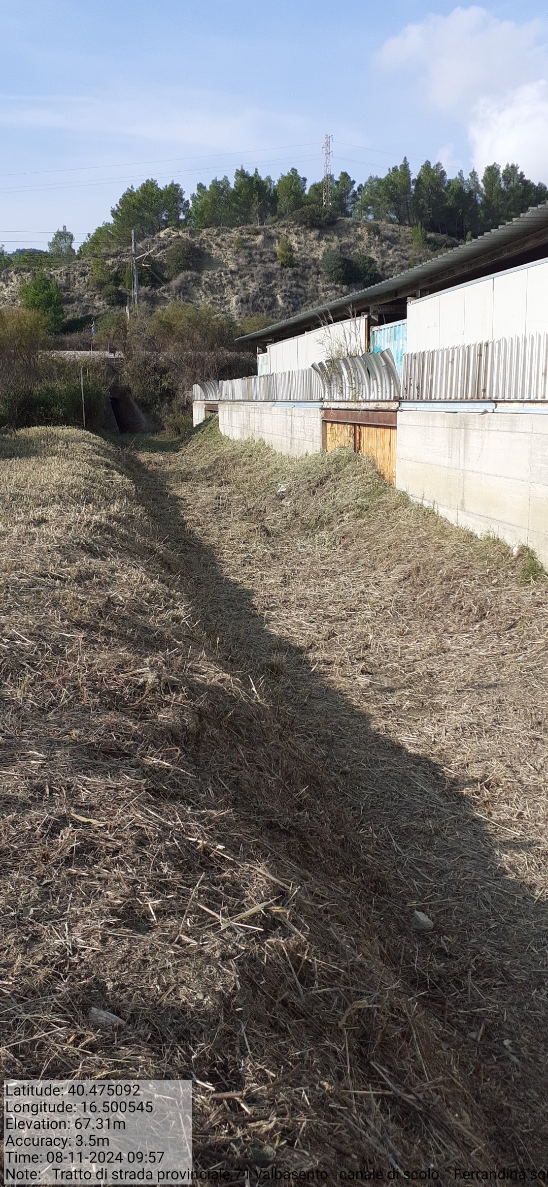 Galleria Fotografica Immagine