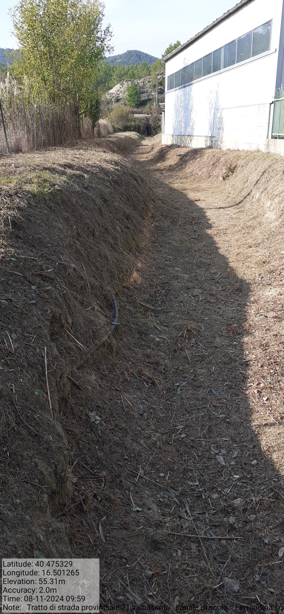 Galleria Fotografica Immagine