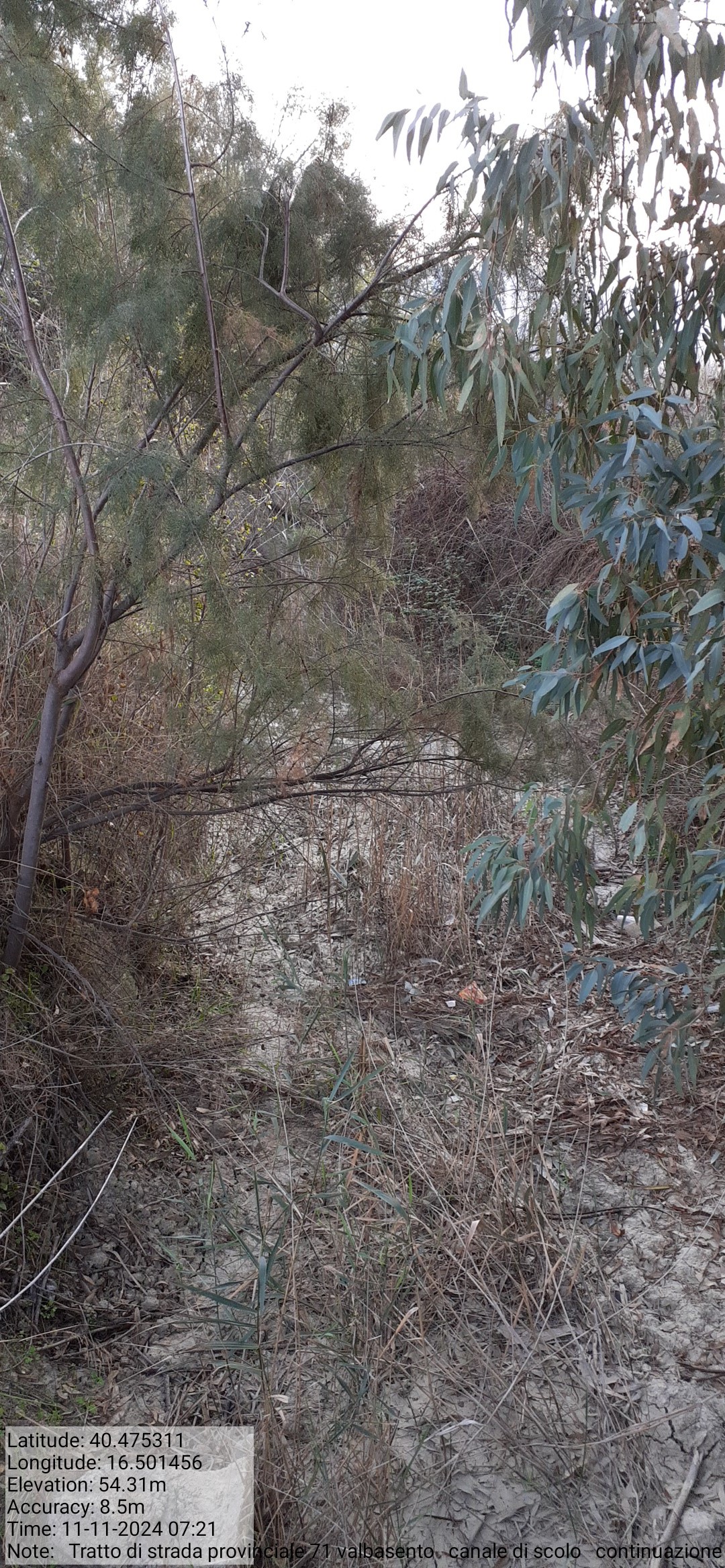 Galleria Fotografica Immagine