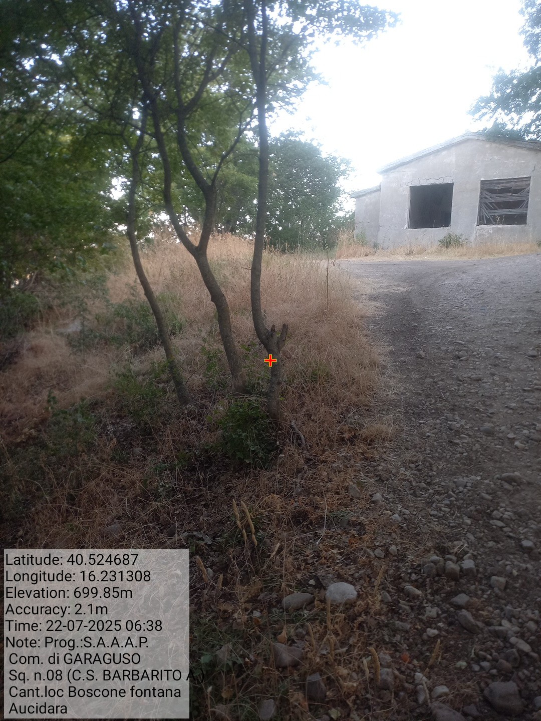 Galleria Fotografica Immagine