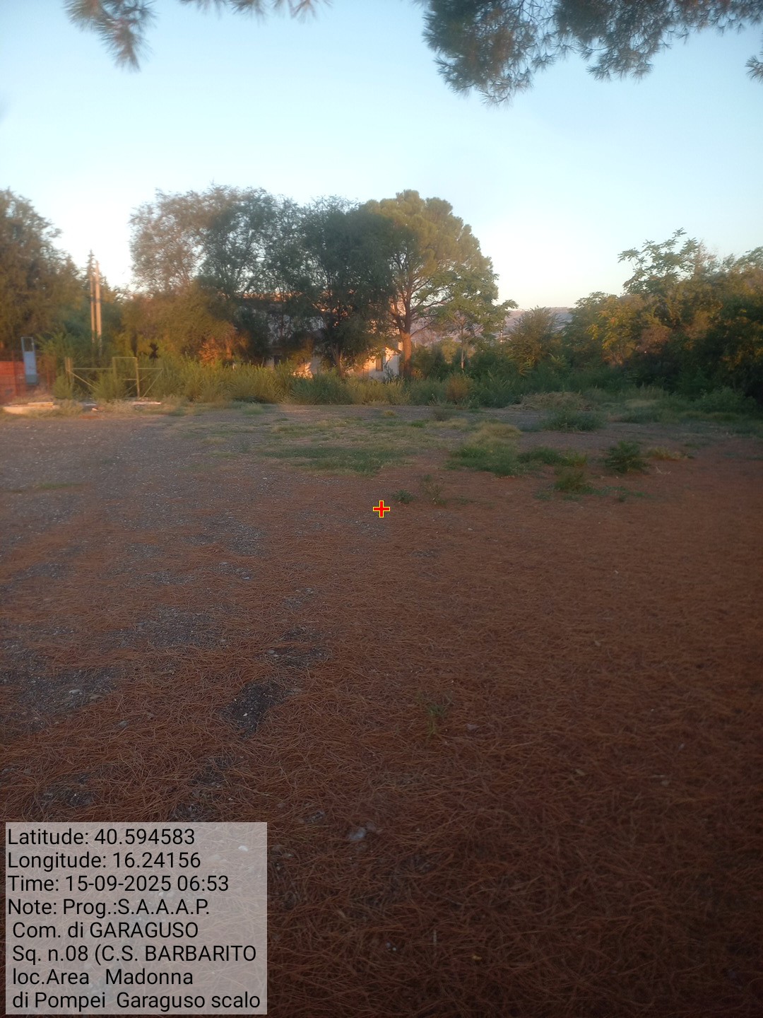 Galleria Fotografica Immagine