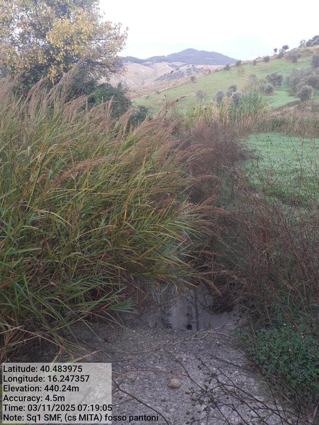 Galleria Fotografica Immagine