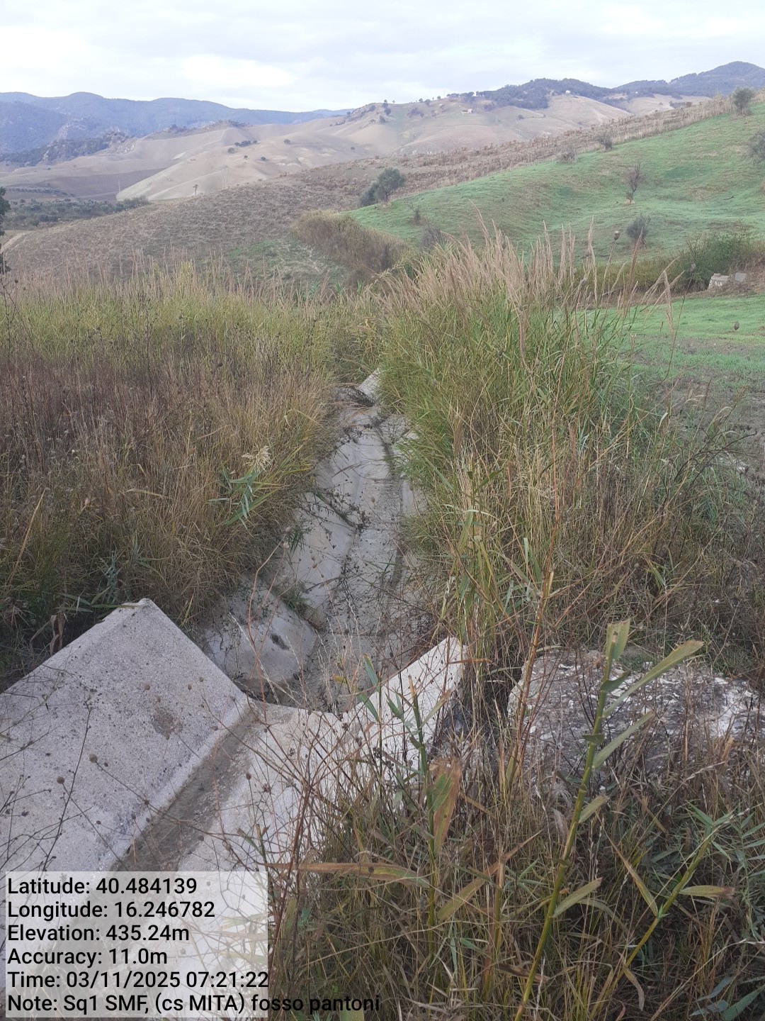 Galleria Fotografica Immagine