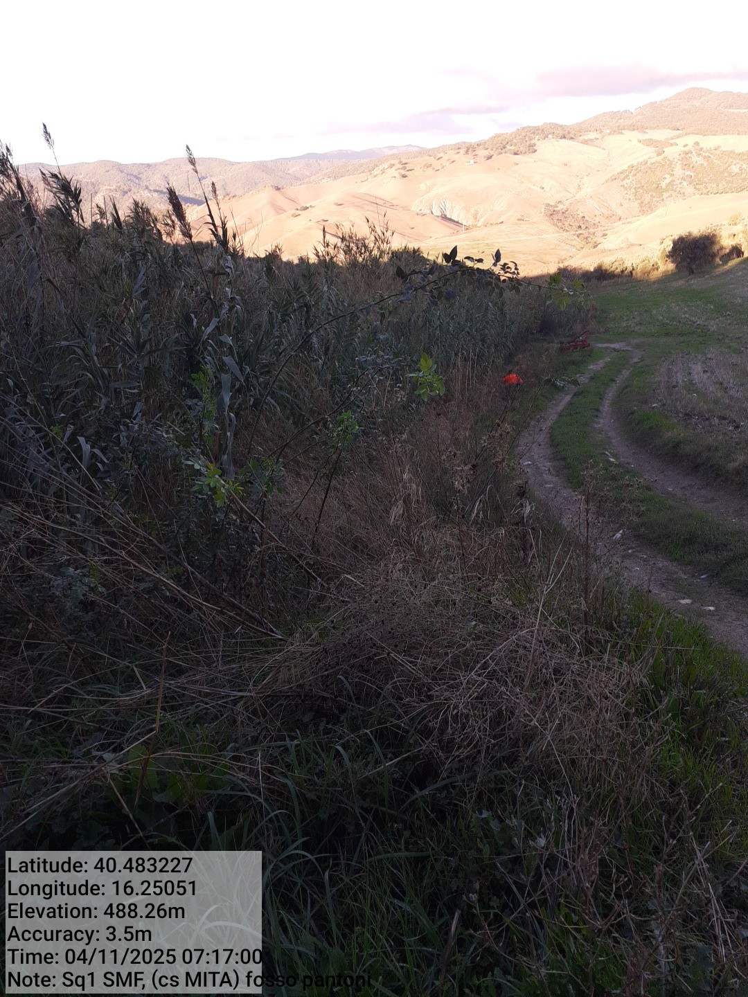 Galleria Fotografica Immagine