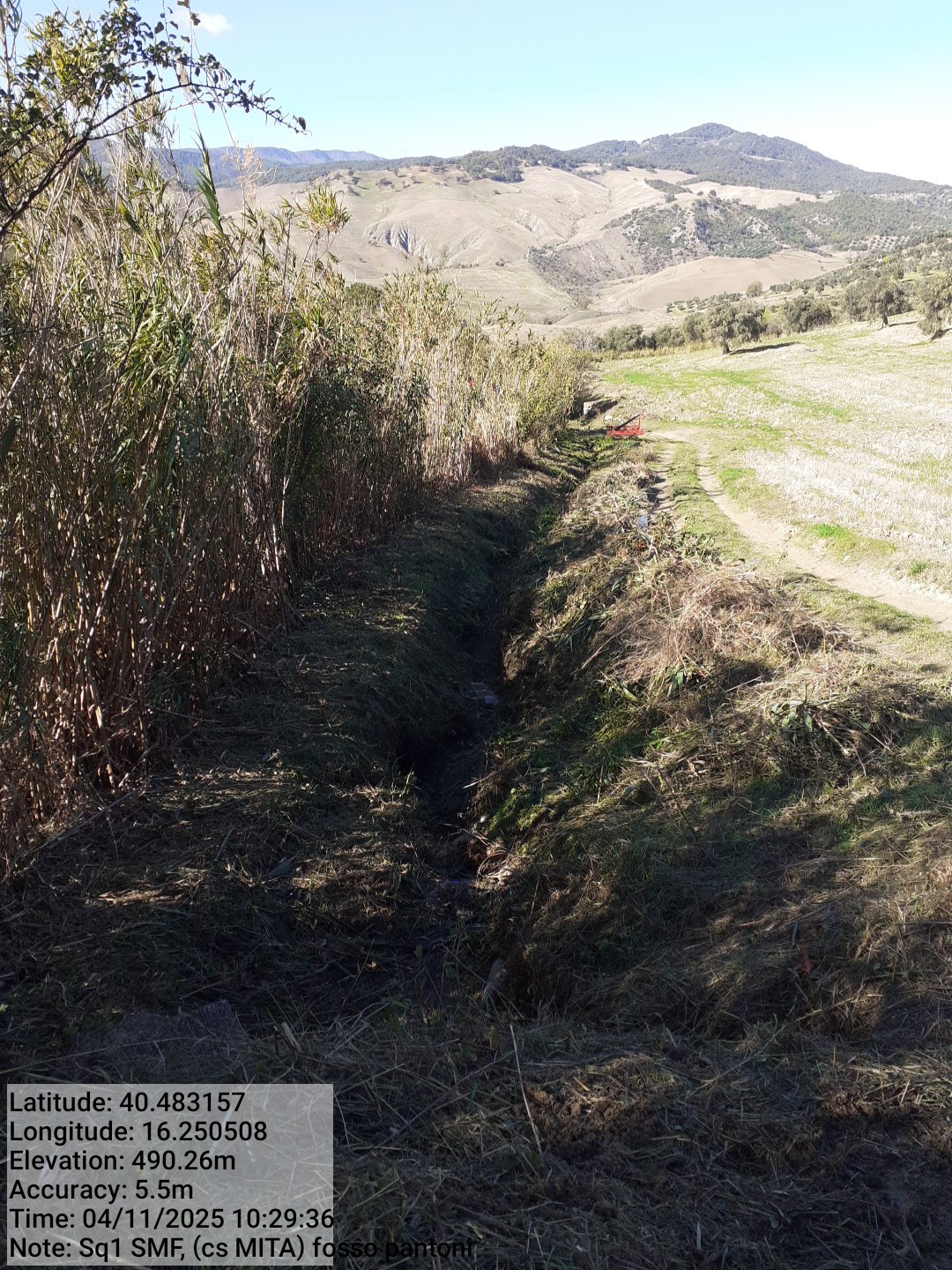 Galleria Fotografica Immagine