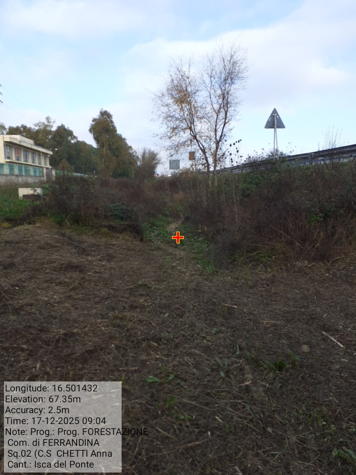 Galleria Fotografica Immagine