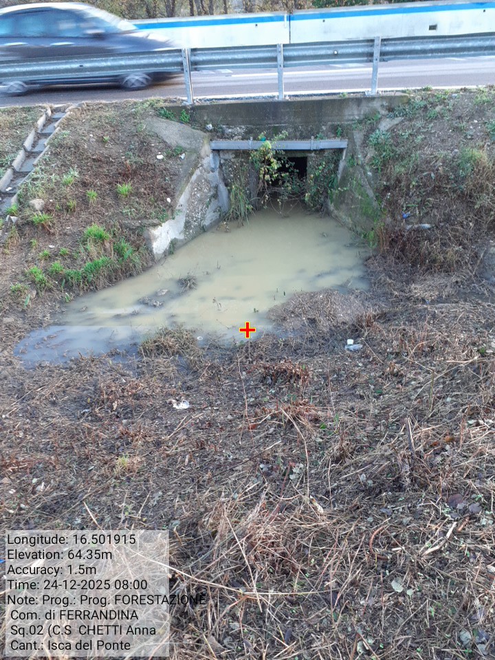 Galleria Fotografica Immagine