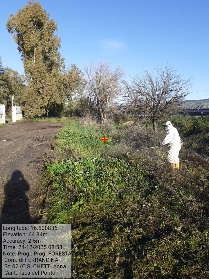 Galleria Fotografica Immagine