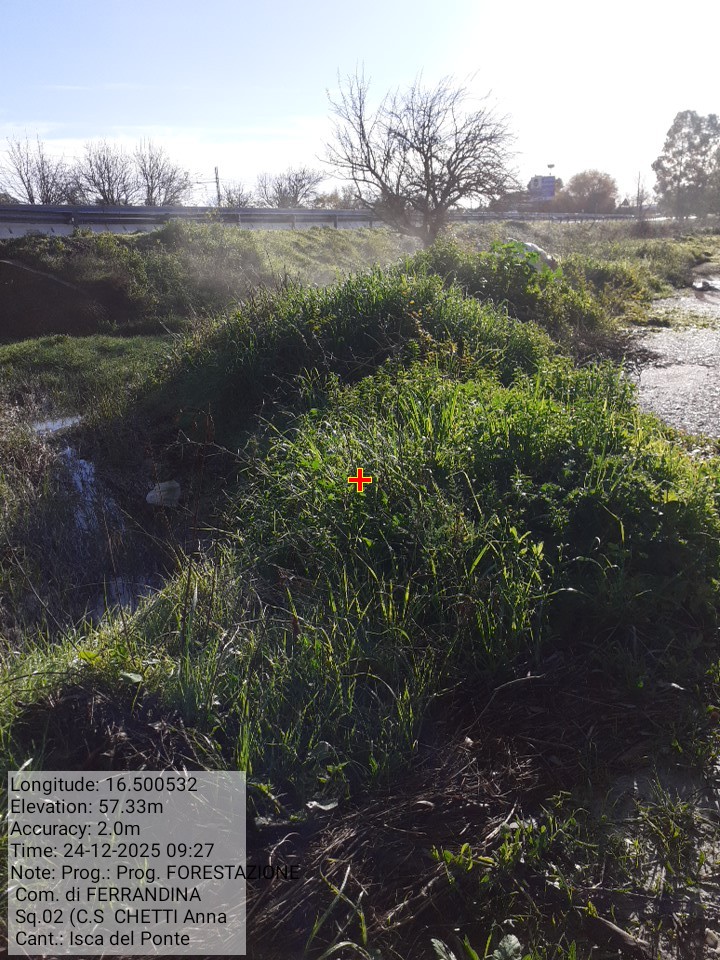 Galleria Fotografica Immagine