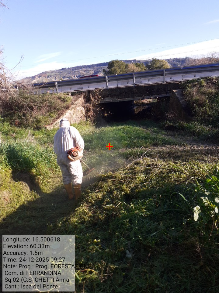 Galleria Fotografica Immagine