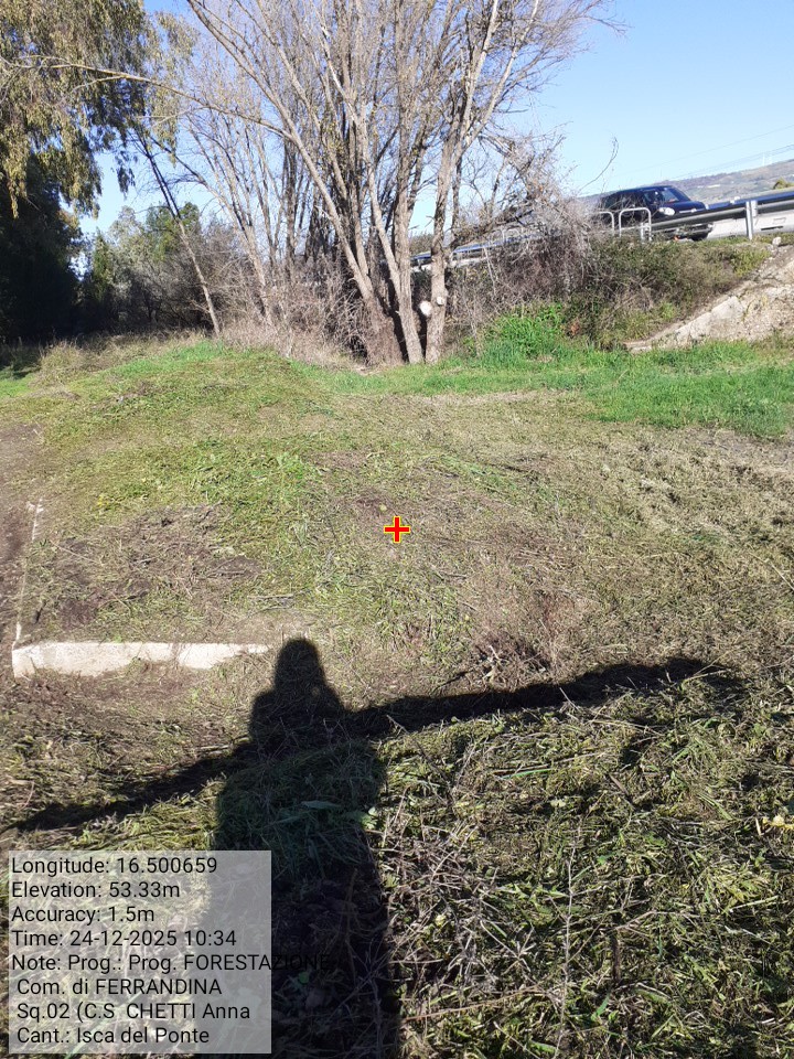 Galleria Fotografica Immagine