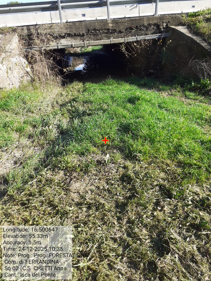 Galleria Fotografica Immagine