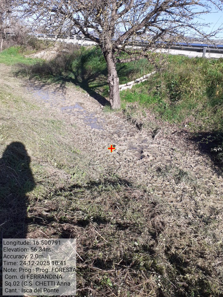 Galleria Fotografica Immagine