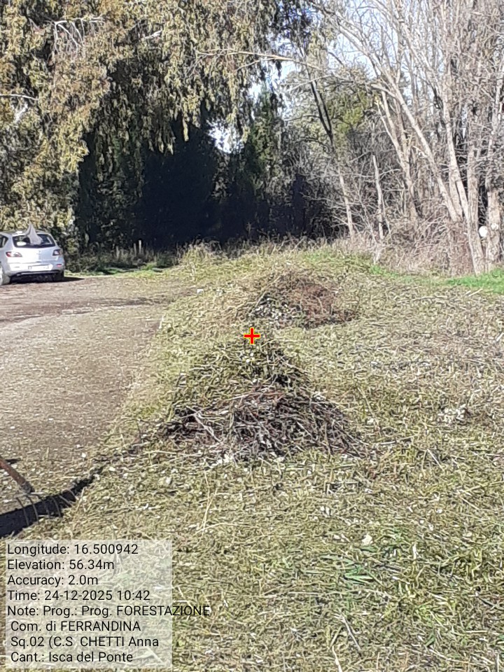 Galleria Fotografica Immagine