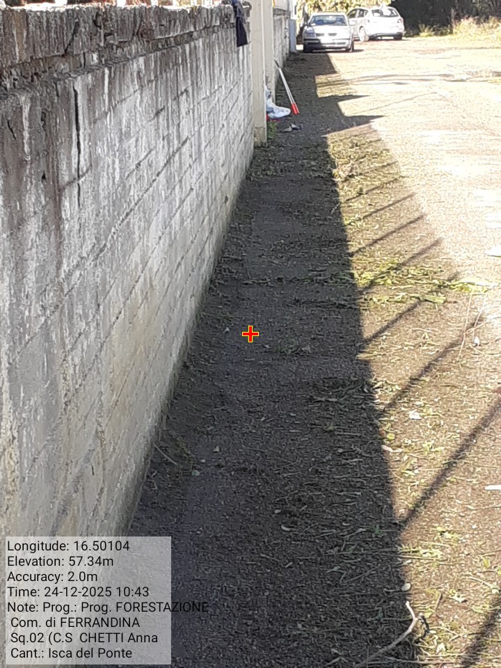 Galleria Fotografica Immagine