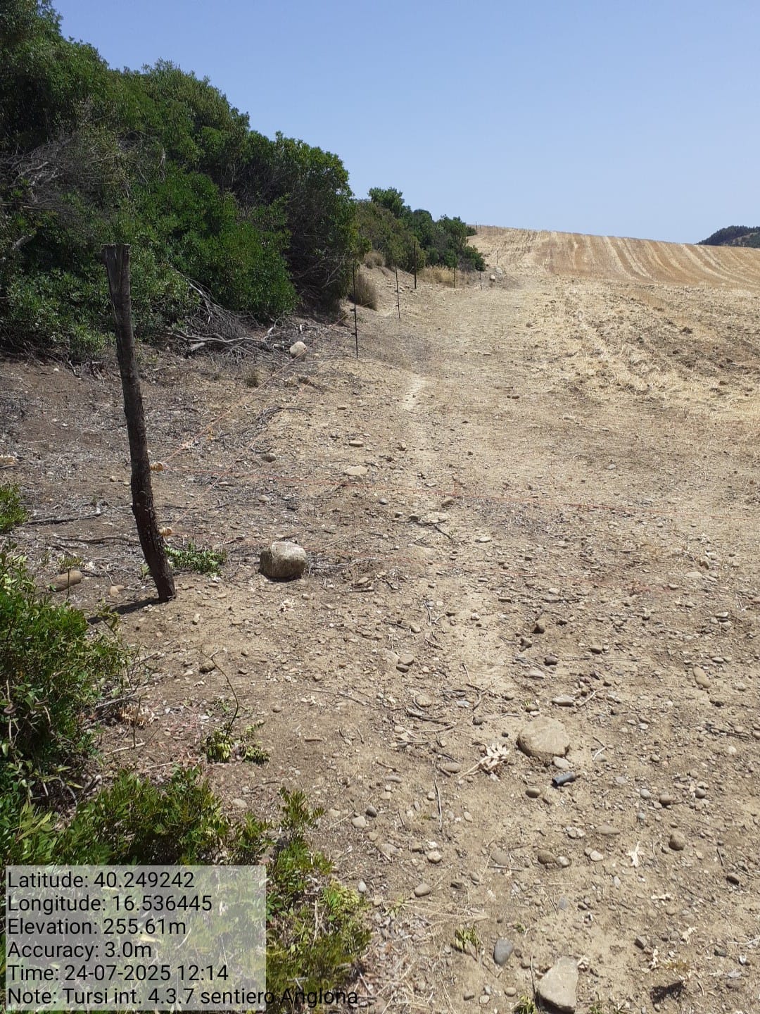 Galleria Fotografica Immagine