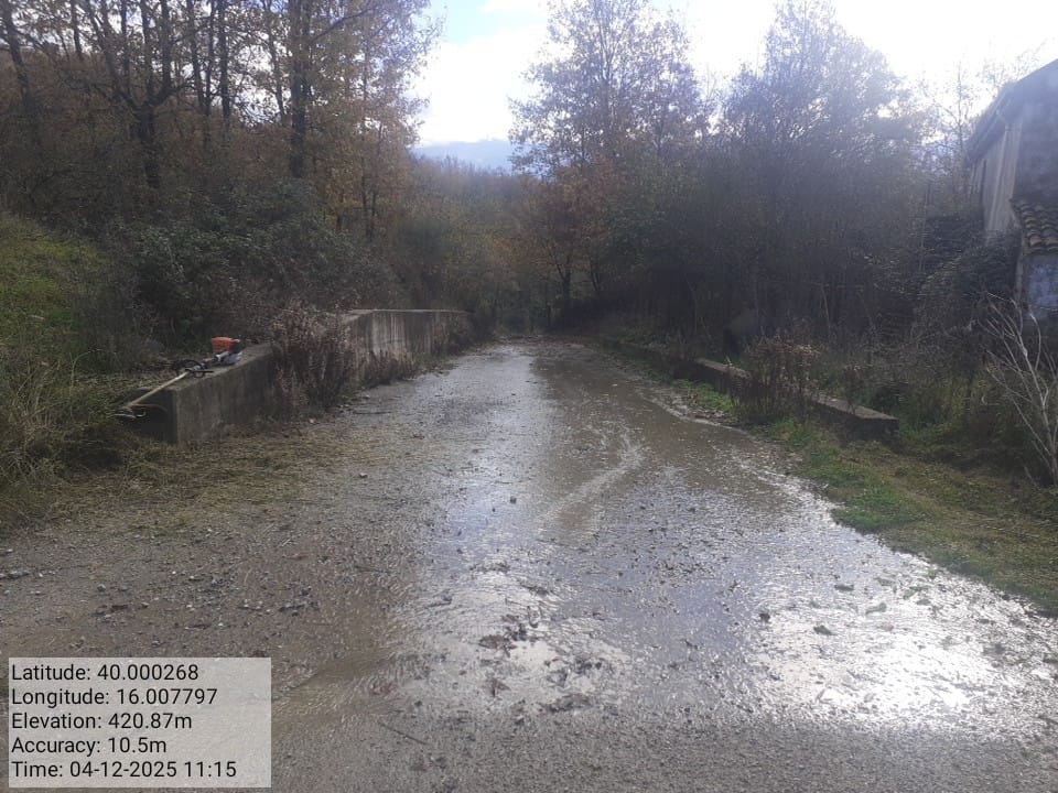 Galleria Fotografica Immagine