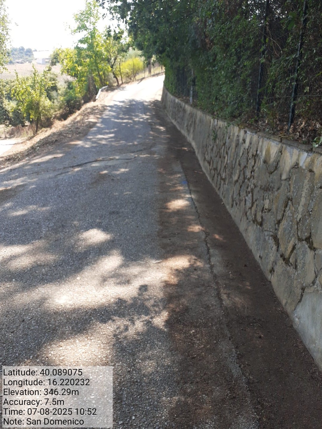 Galleria Fotografica Immagine