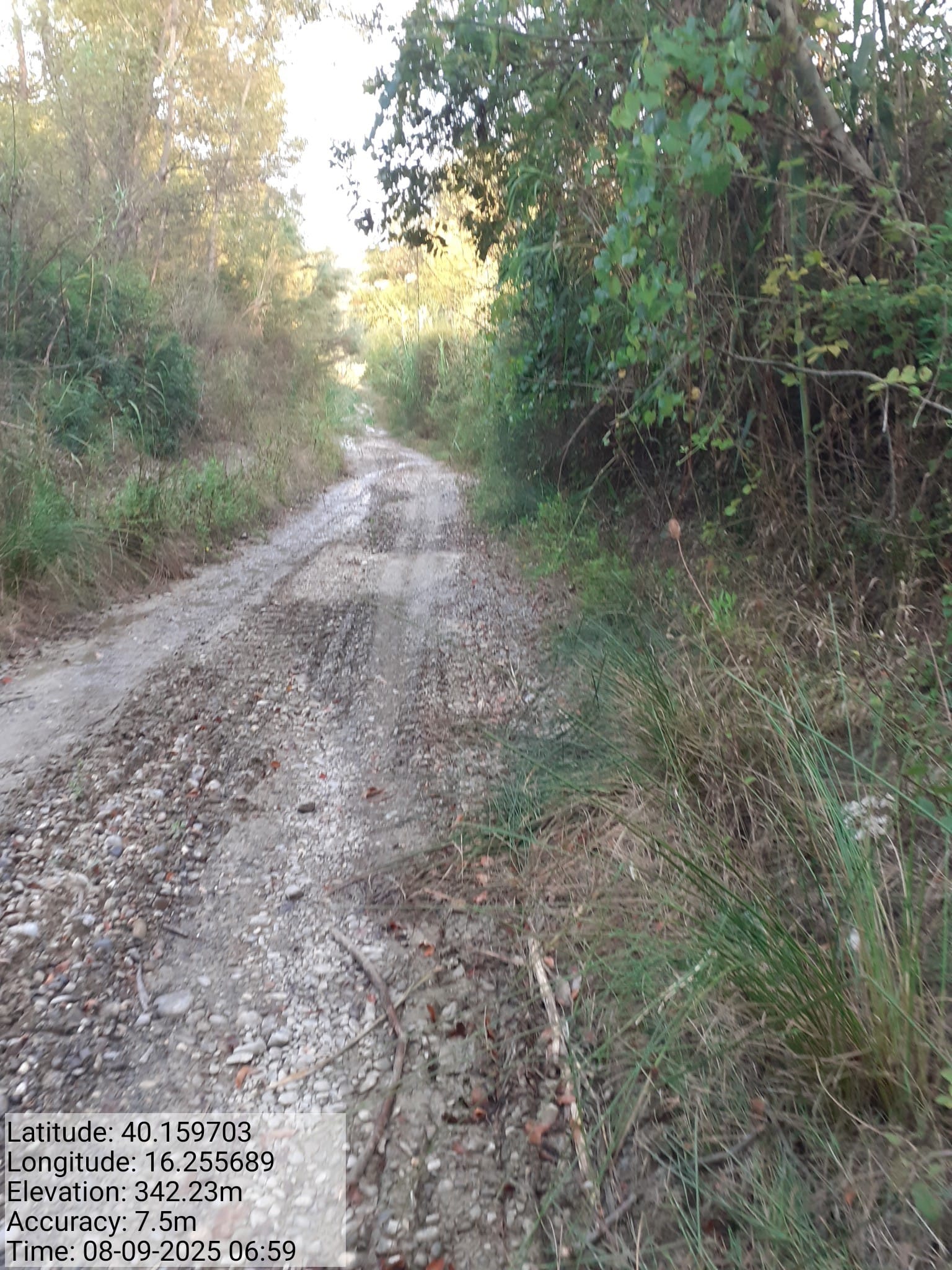 Galleria Fotografica Immagine