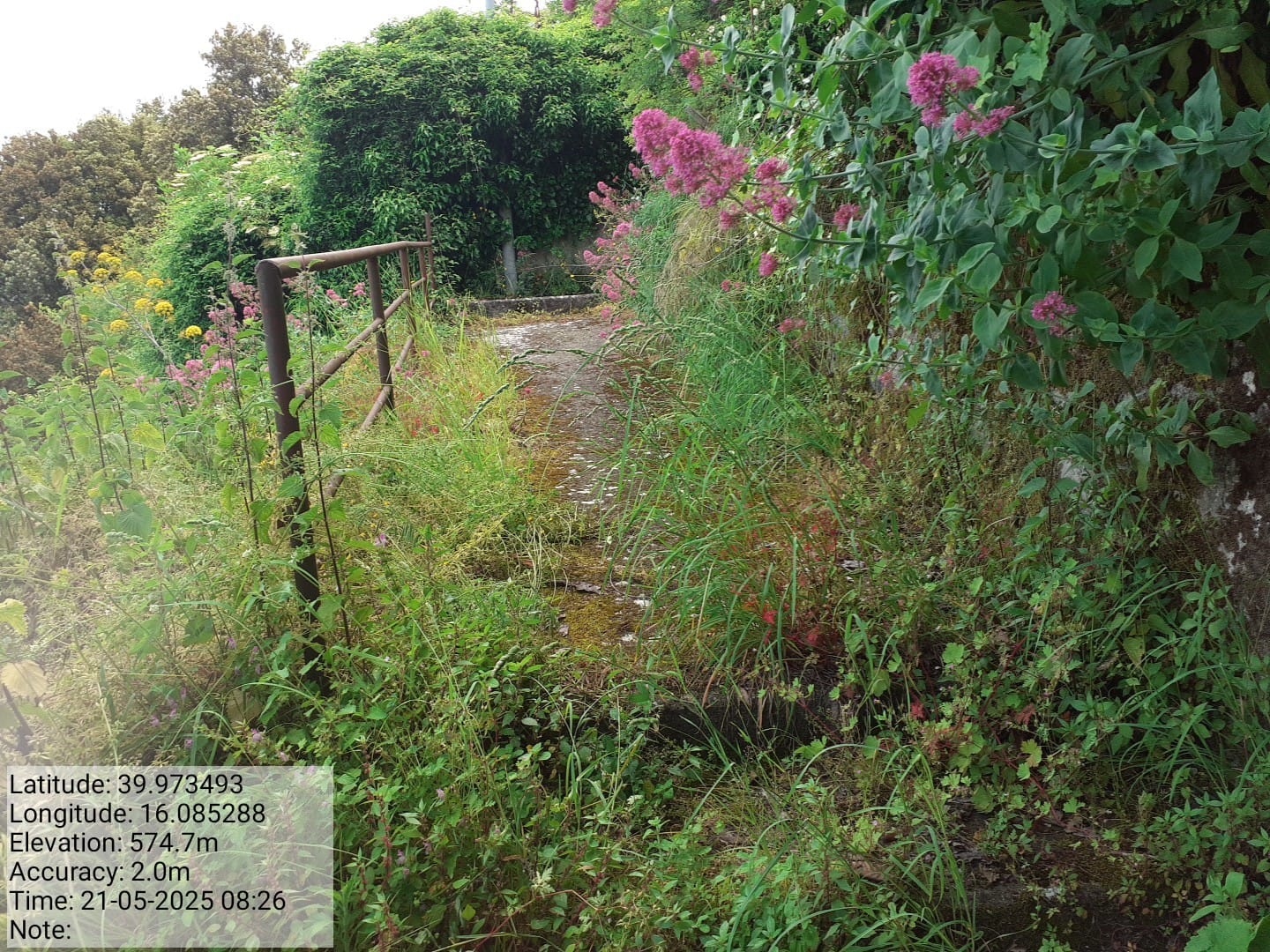 Galleria Fotografica Immagine