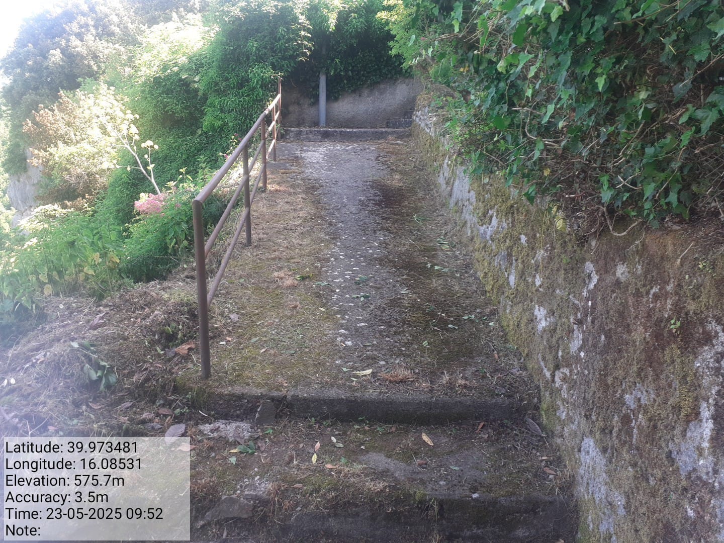 Galleria Fotografica Immagine