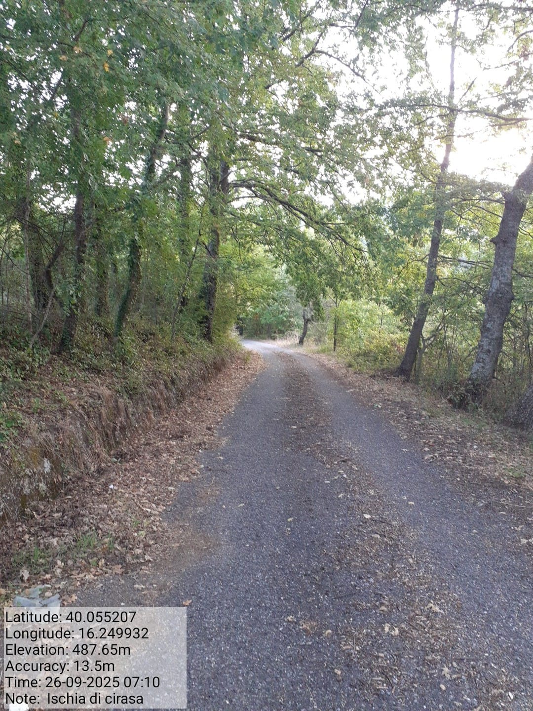 Galleria Fotografica Immagine