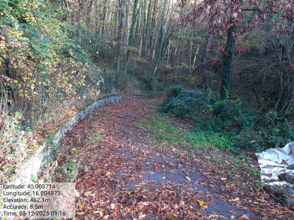 Galleria Fotografica Immagine