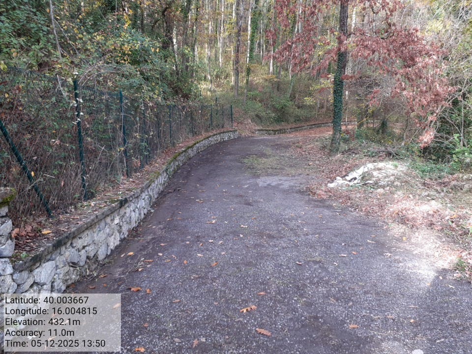 Galleria Fotografica Immagine