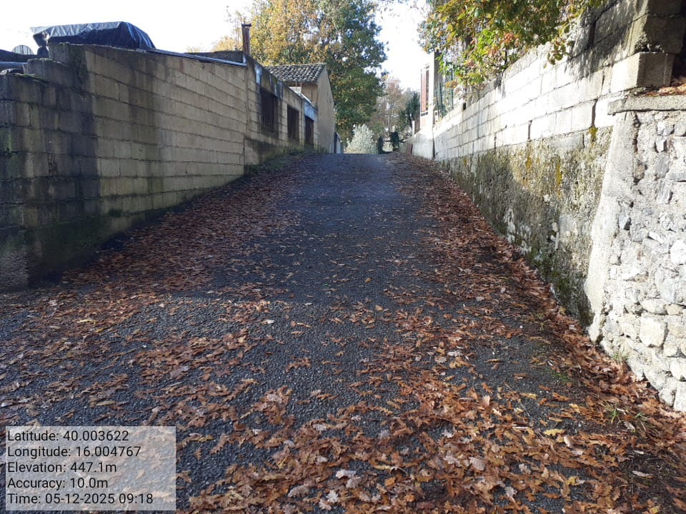 Galleria Fotografica Immagine