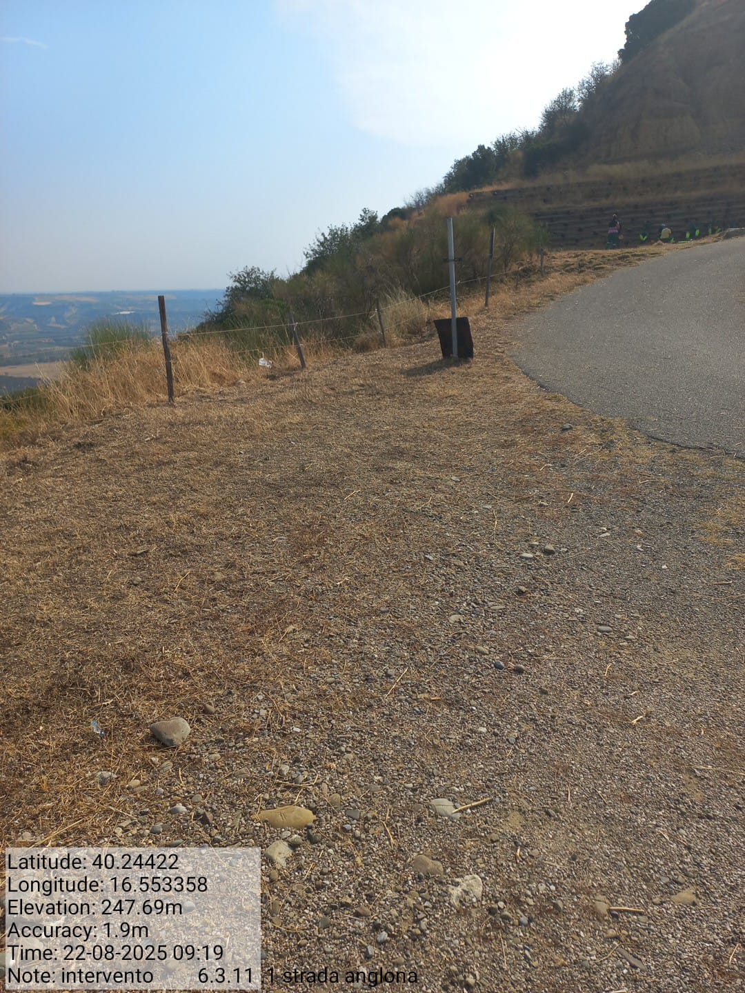 Galleria Fotografica Immagine