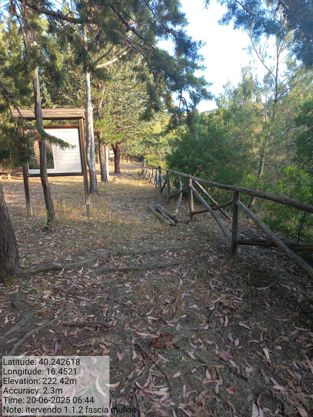 Galleria Fotografica Immagine