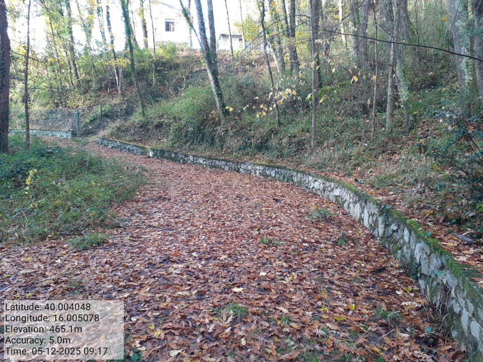 Galleria Fotografica Immagine