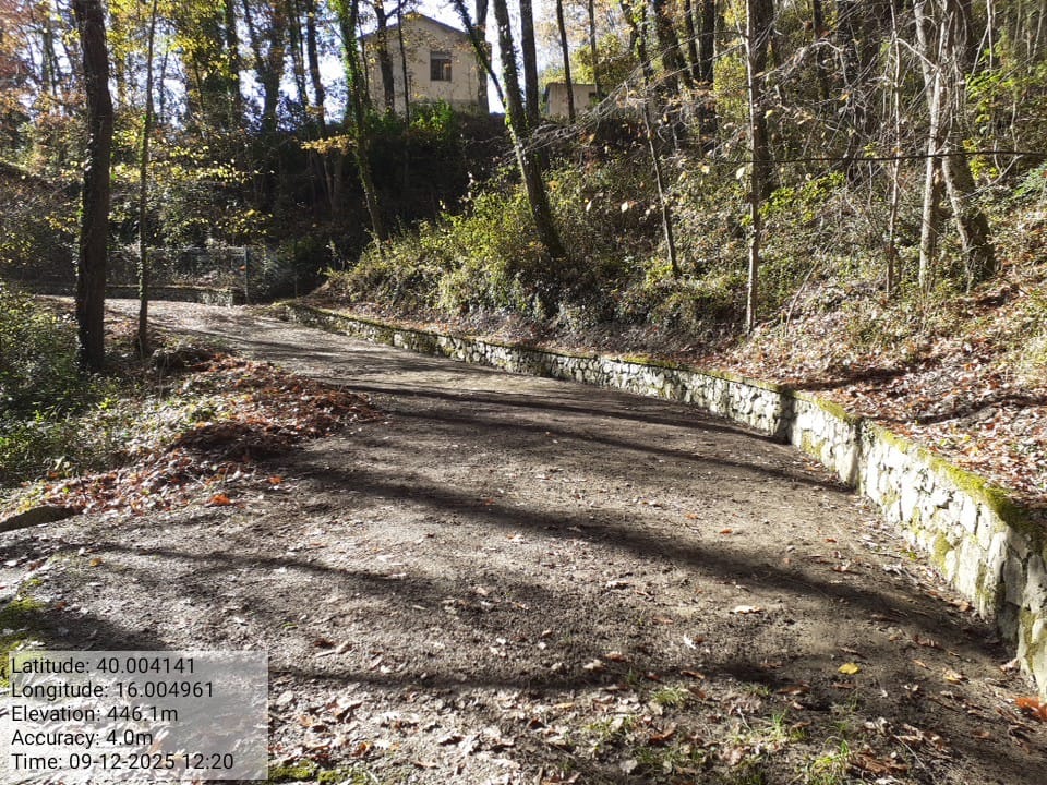 Galleria Fotografica Immagine