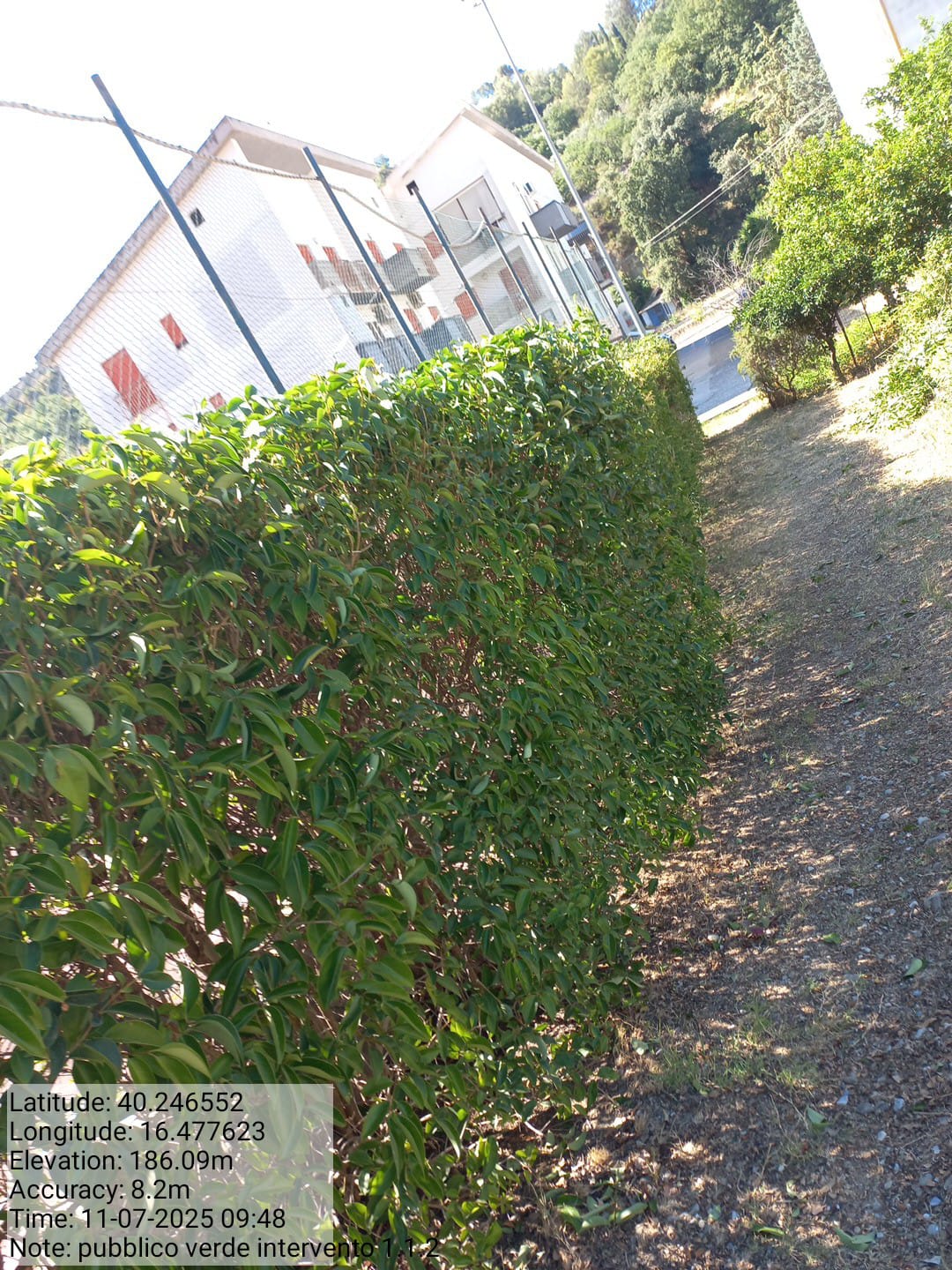 Galleria Fotografica Immagine