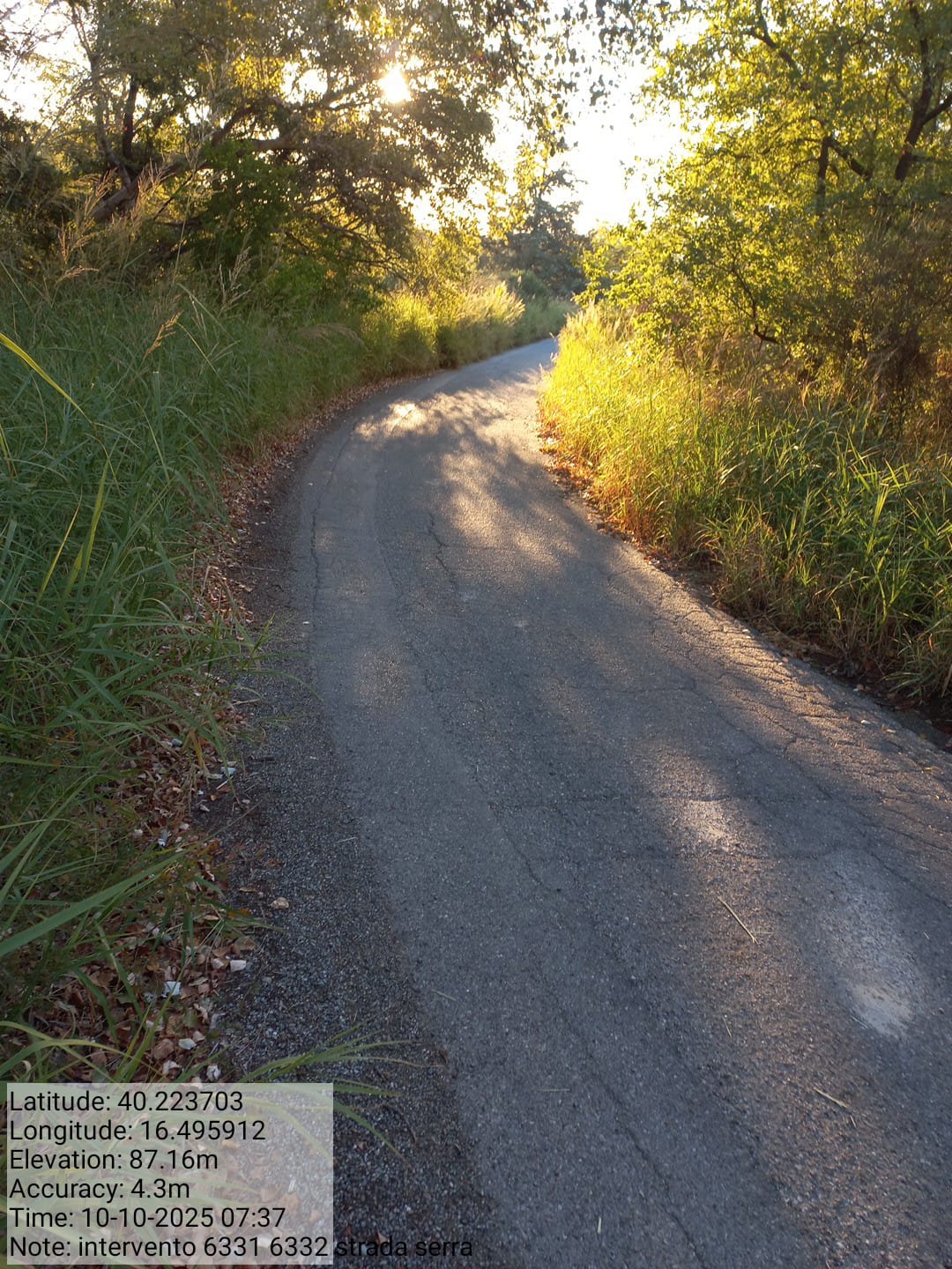 Galleria Fotografica Immagine