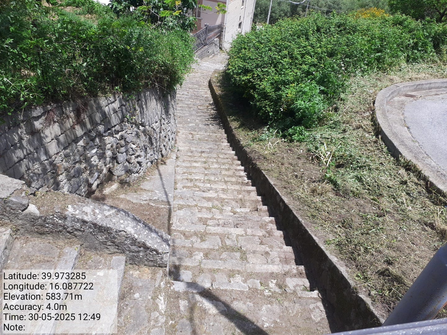 Galleria Fotografica Immagine