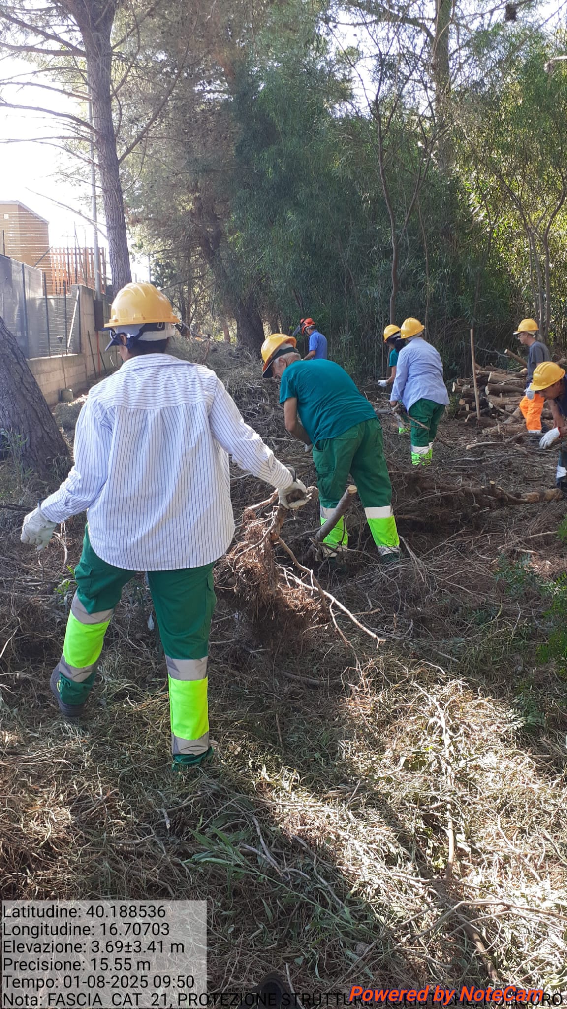 Galleria Fotografica Immagine