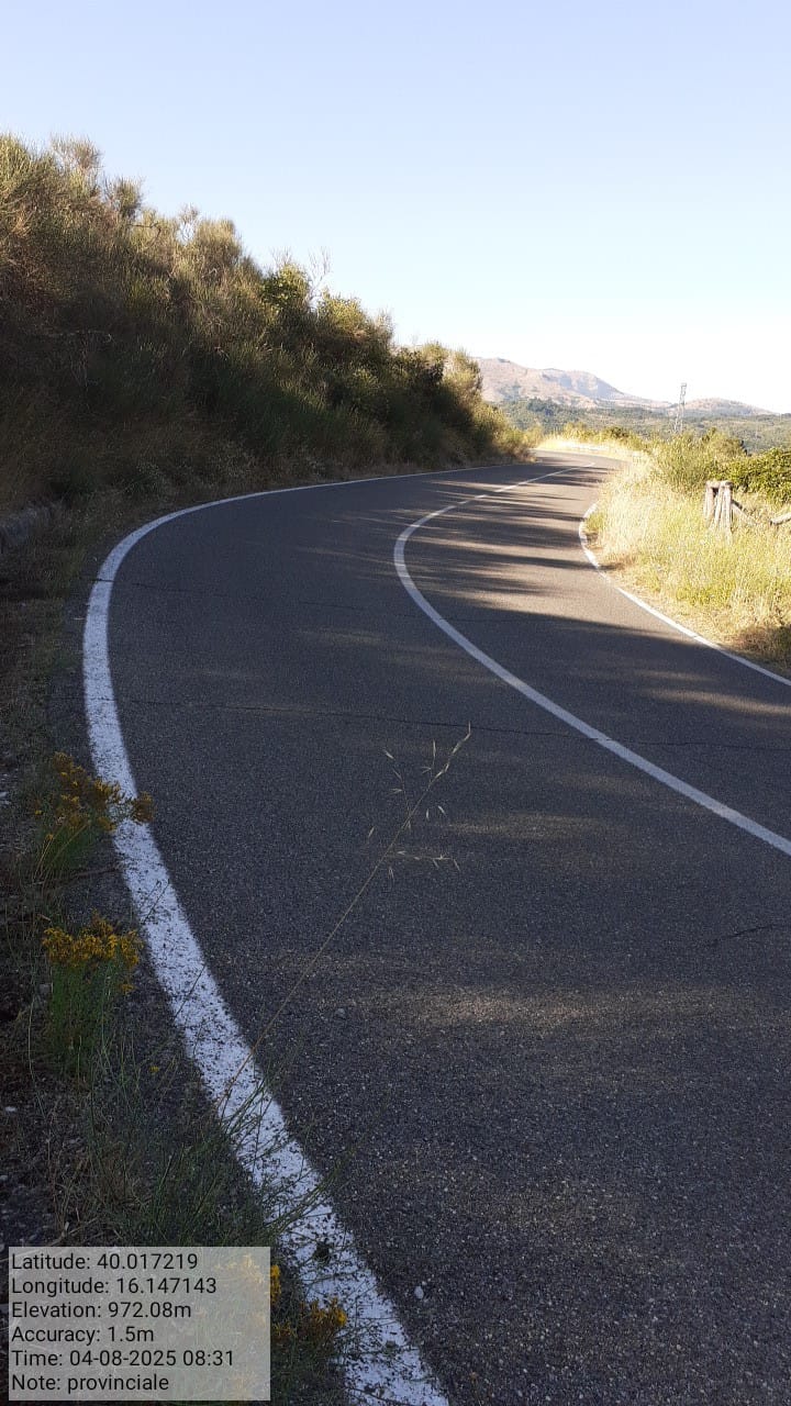 Galleria Fotografica Immagine