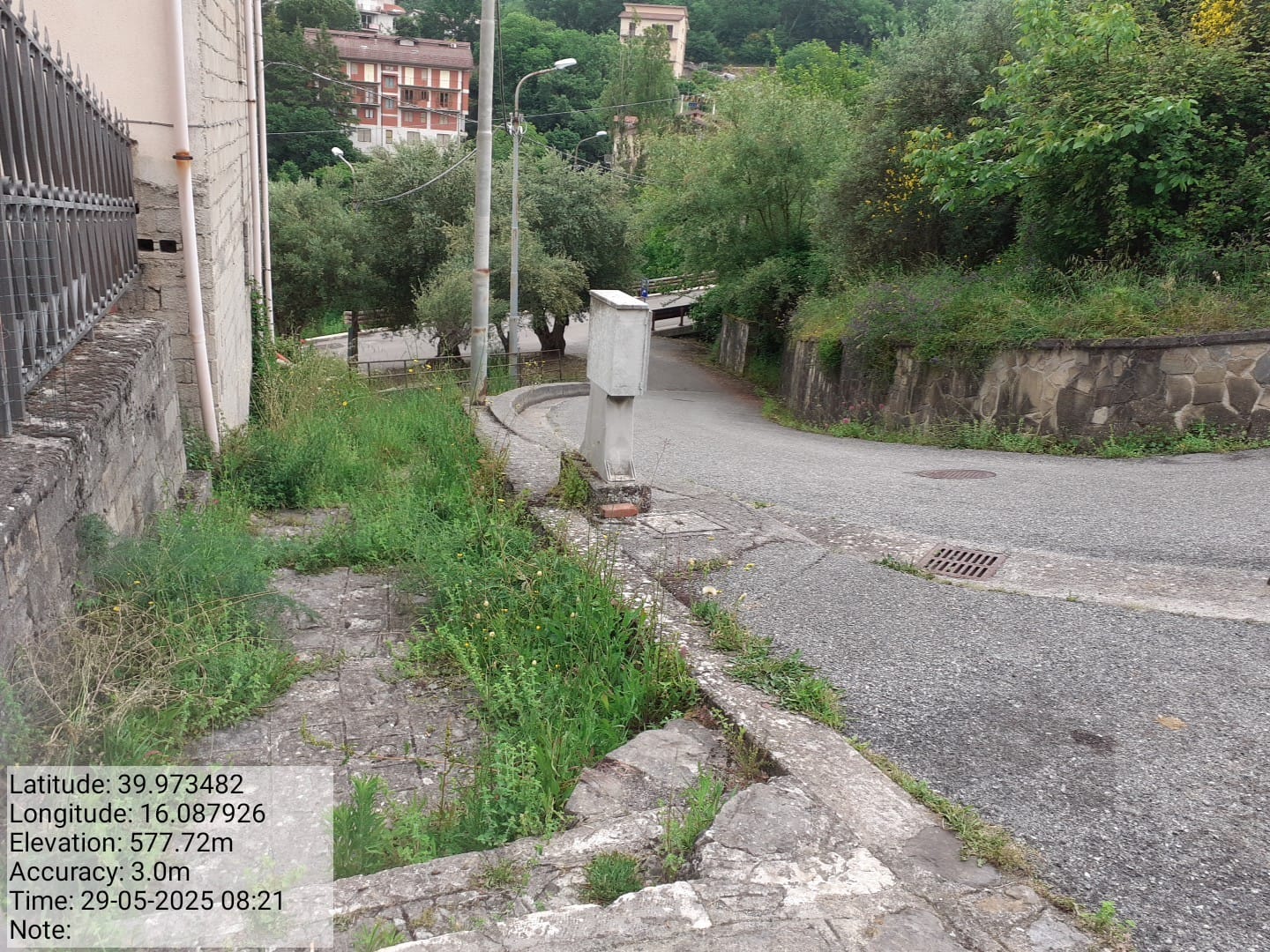 Galleria Fotografica Immagine