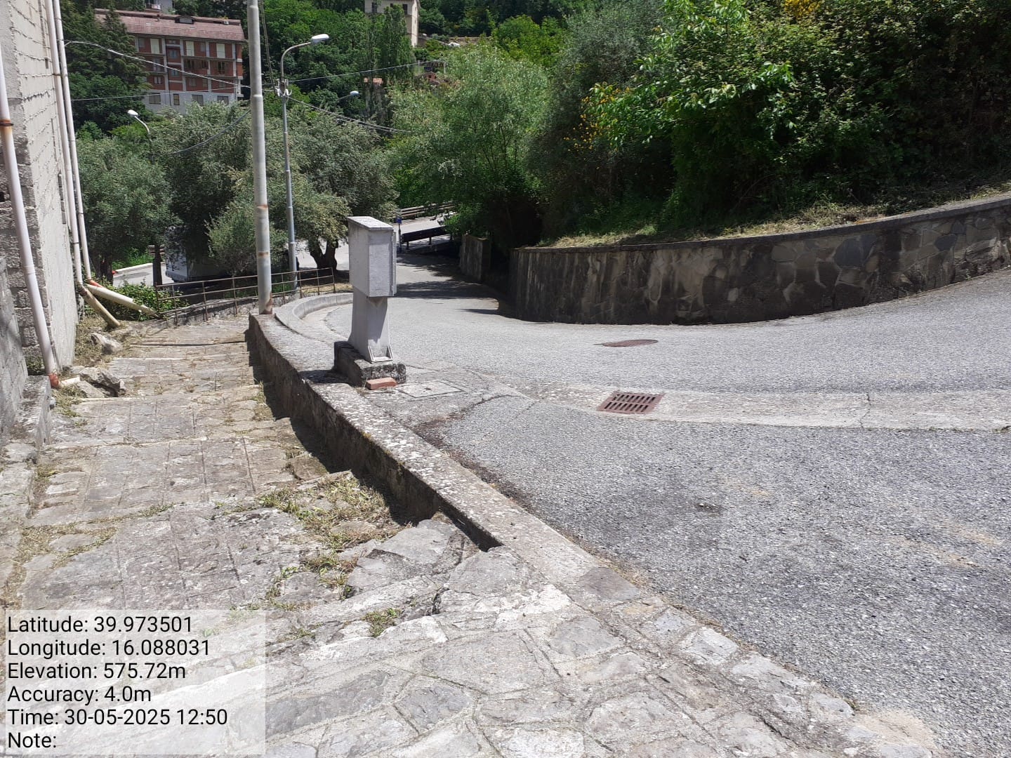 Galleria Fotografica Immagine