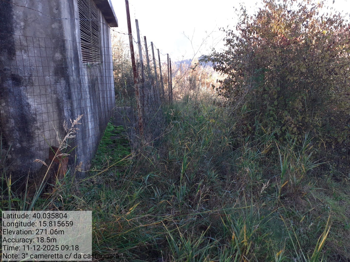 Galleria Fotografica Immagine