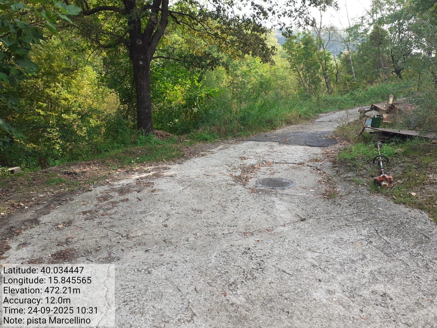 Galleria Fotografica Immagine