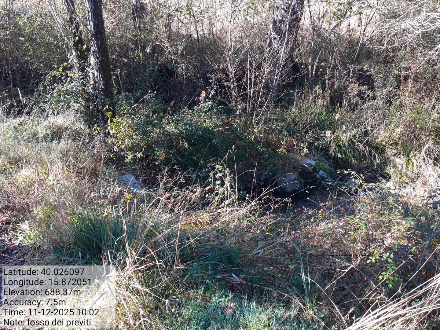 Galleria Fotografica Immagine