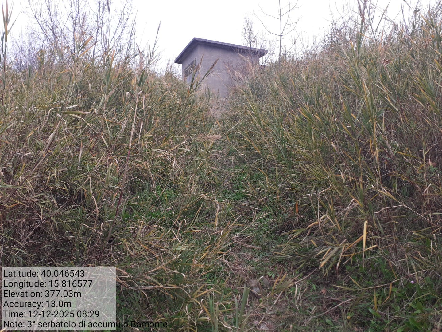 Galleria Fotografica Immagine