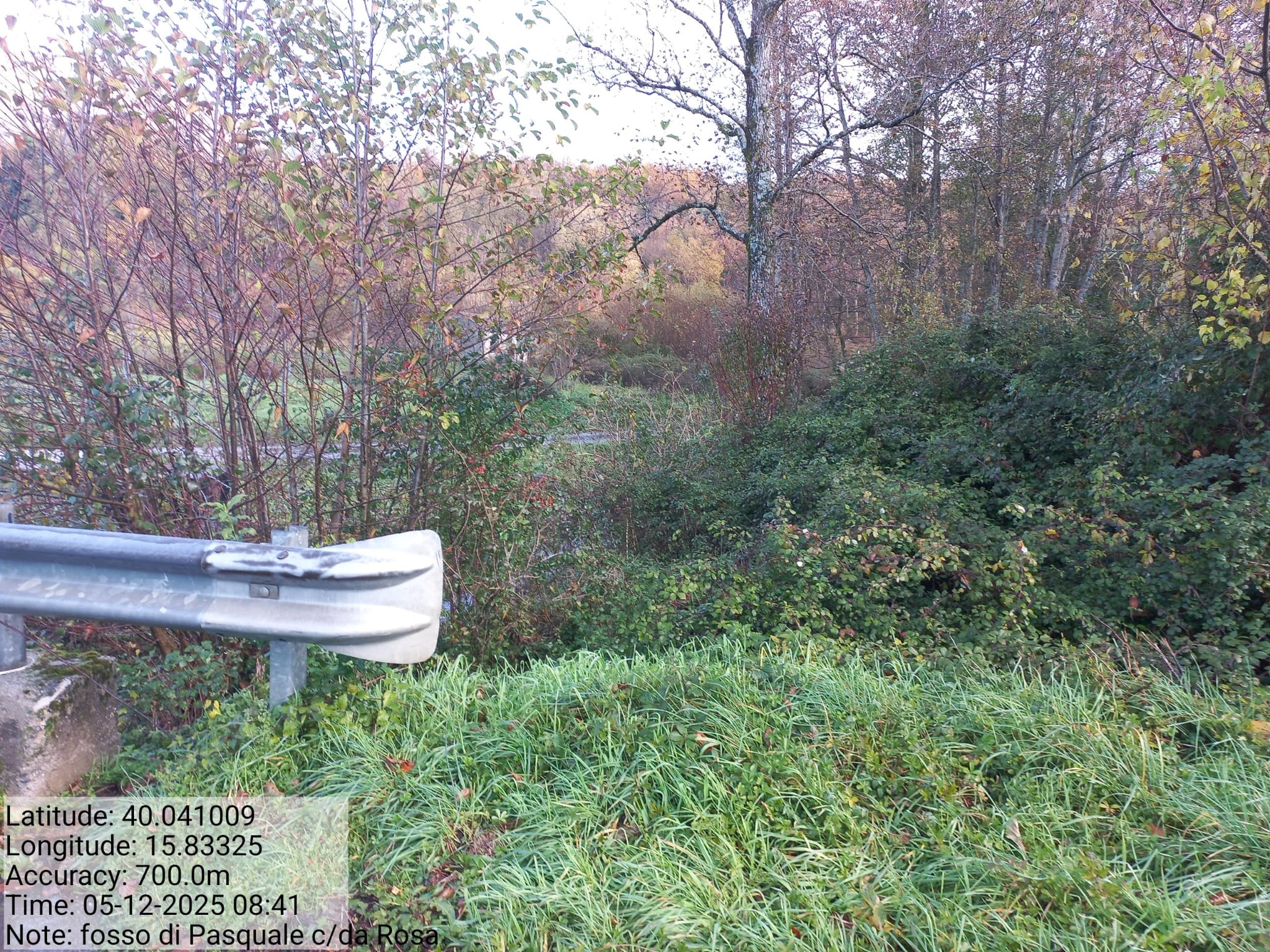 Galleria Fotografica Immagine